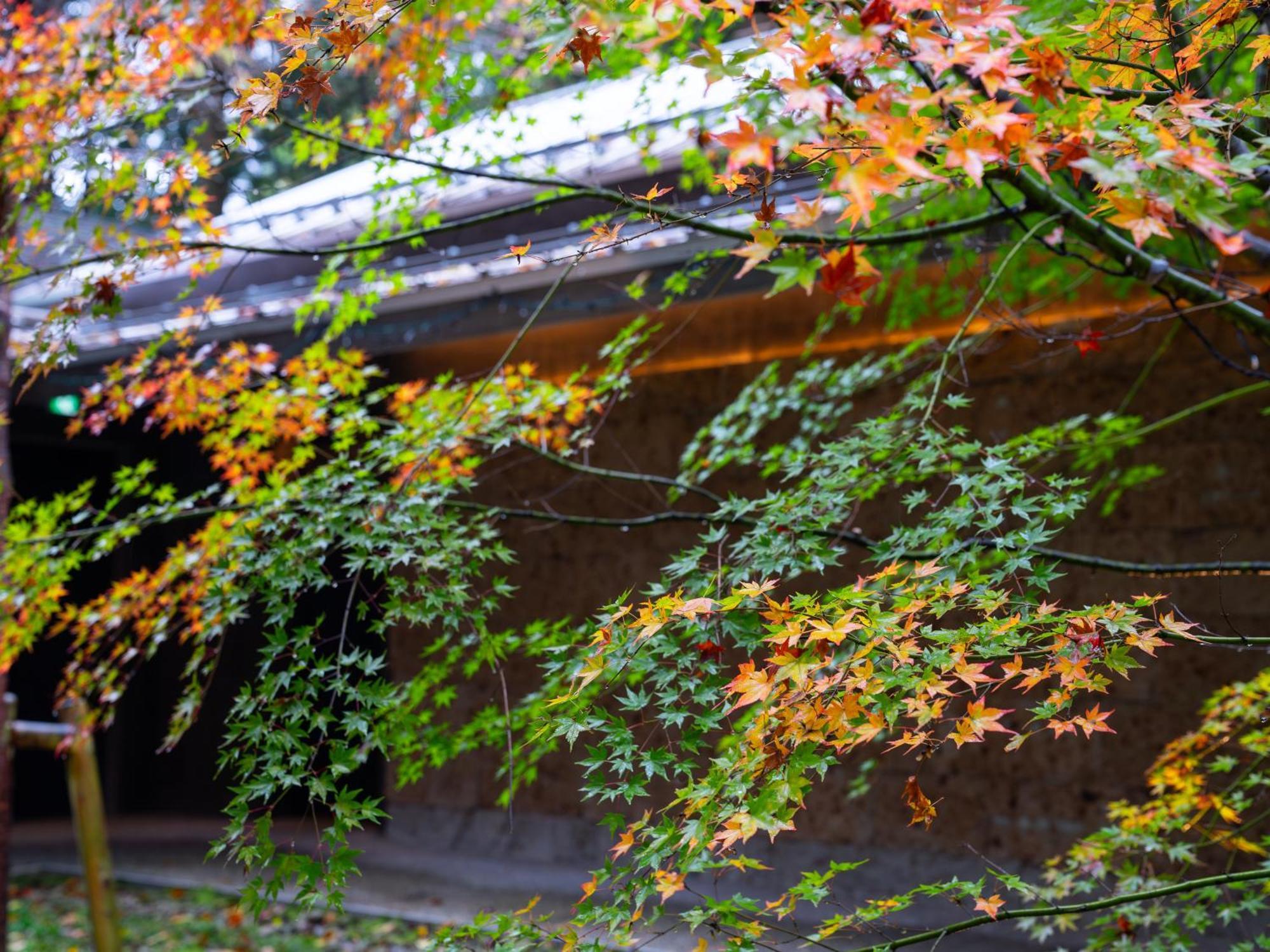 Nikko Nishimachi Club Hotel Luaran gambar